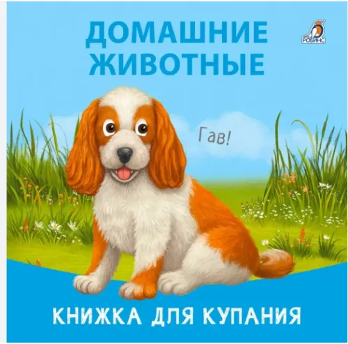 Screenshot_6