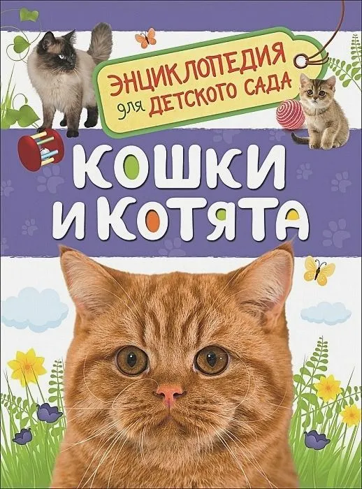 9785353087762