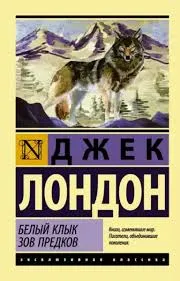 Без названия (4)