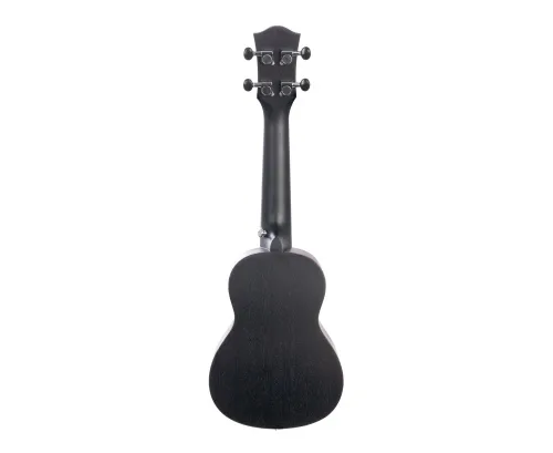 HH-2262-Back