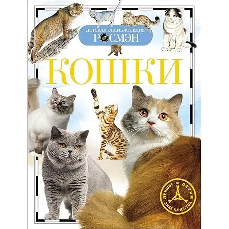71OWovIi0bL._SY466_