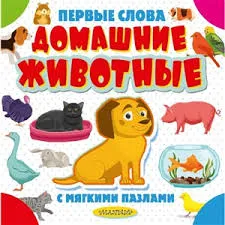 Без названия (5)