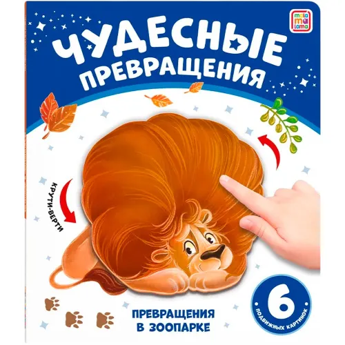 24db884a_8946_11f0_ac34_90e3ba01ca52_af252e30_92f3_11f0_b02b_fdaf2672b728