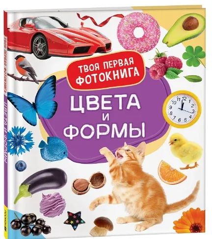 Снимок экрана 2024-11-21 143821