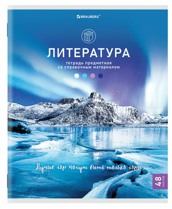Снимок экрана 2024-11-05 110518