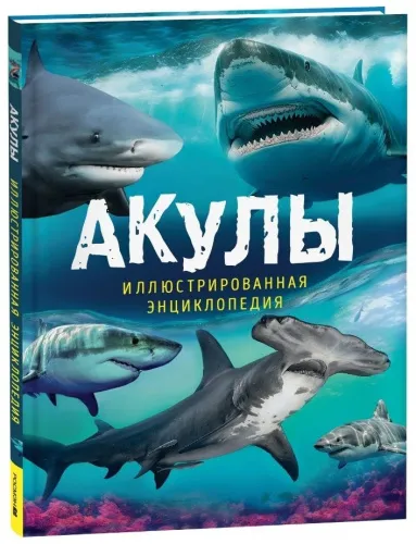 85253484675102
