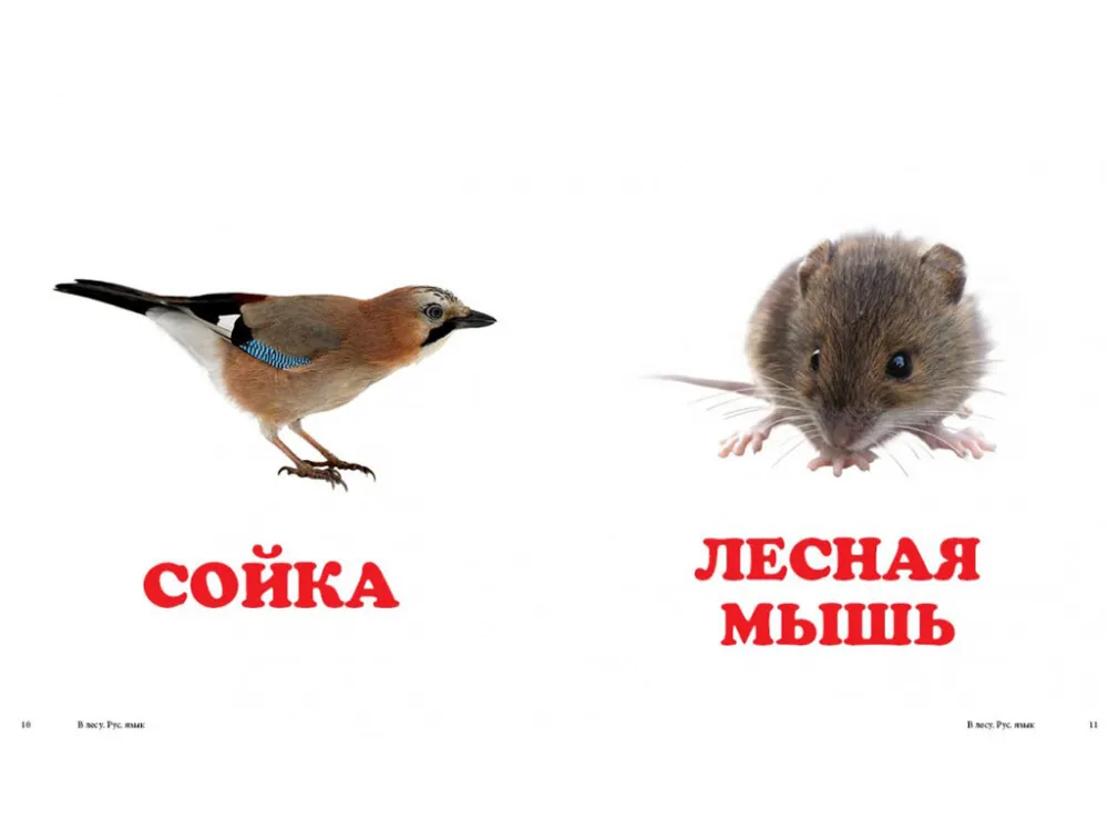 MPG-9786177160181$02