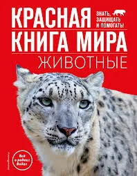 Без названия (8)
