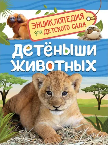 81FMHbZYndL._AC_UF1000,1000_QL80_