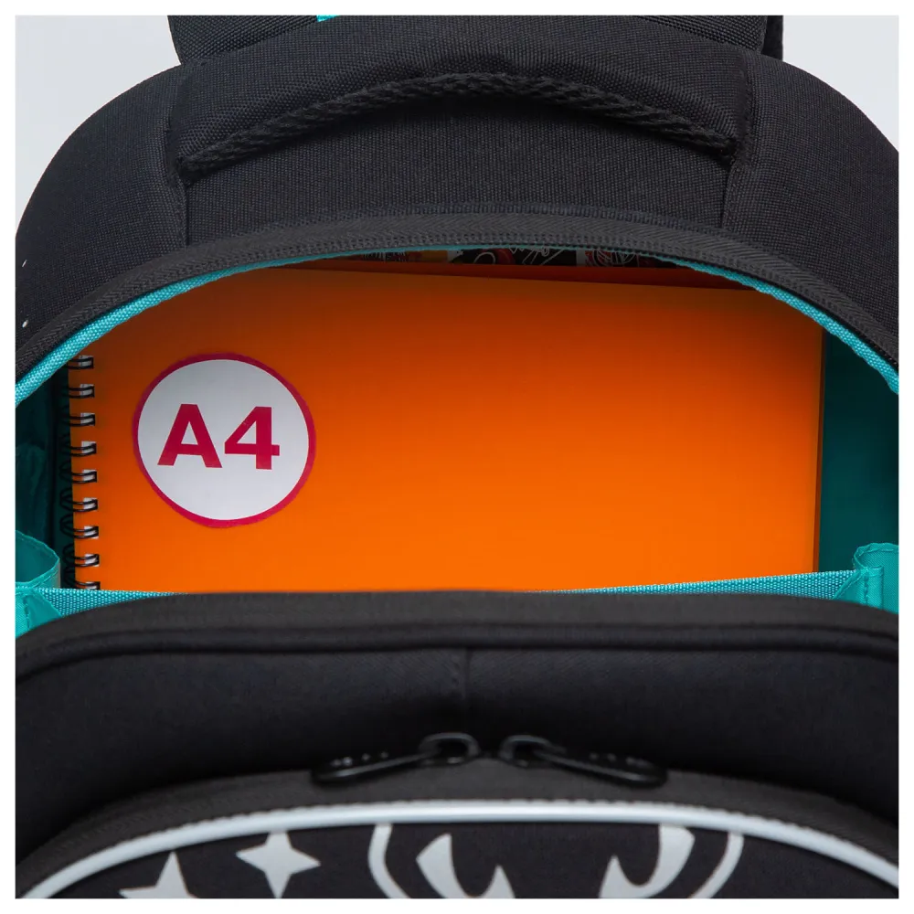 e44ecf5d76a89944ba56b159164aef21_xl