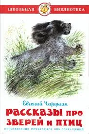 Без названия (5)