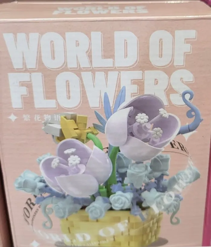 WhatsApp Image 2025-03-18 at 11.36.50