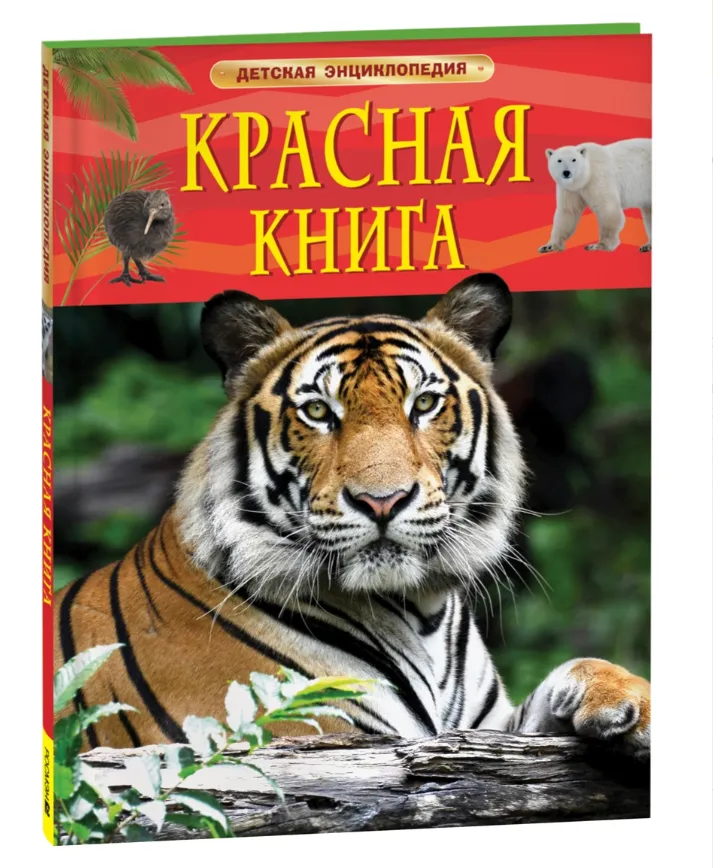 Снимок экрана 2025-04-11 113339