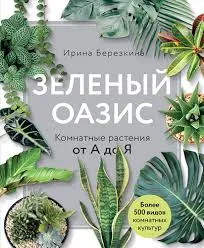 Без названия