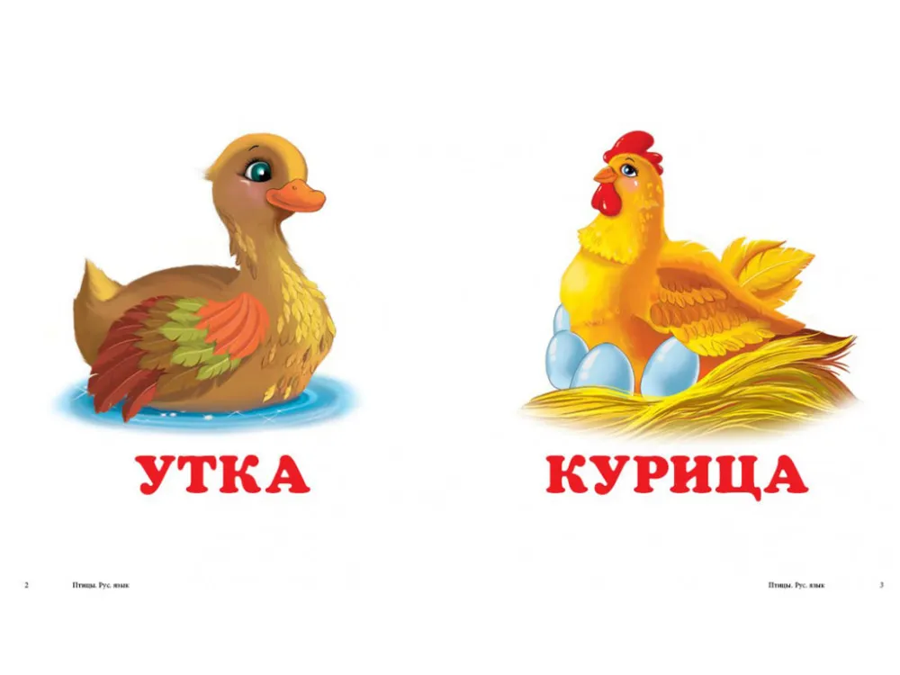 MPG-9786177160242$02