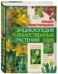 Без названия (65)