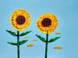 загруженное (2)