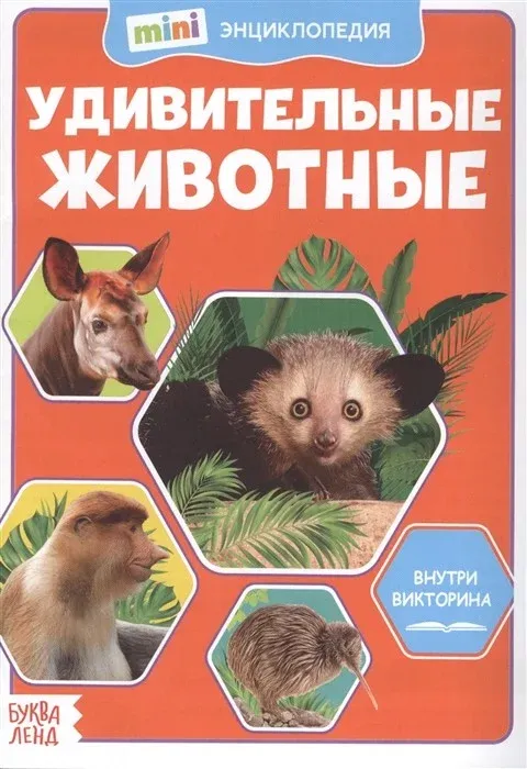 4564646