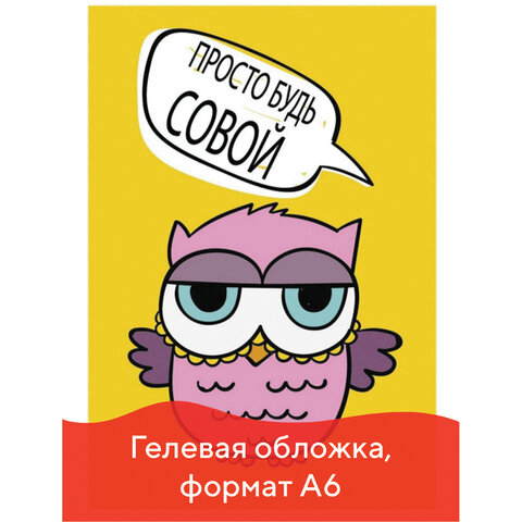 cdc49b2a1664fb51099dd44750390929_x