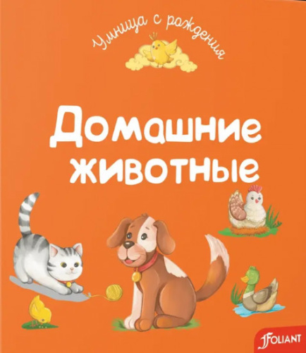 2849821_550