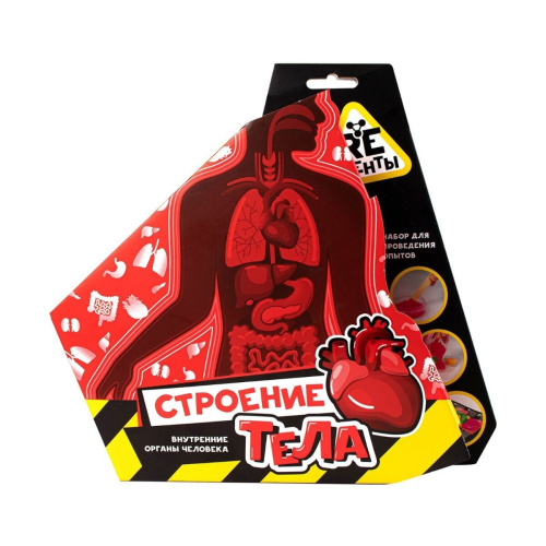 reagenty_stroenie_tela