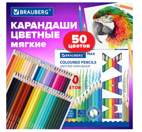 Снимок экрана 2024-10-03 141119