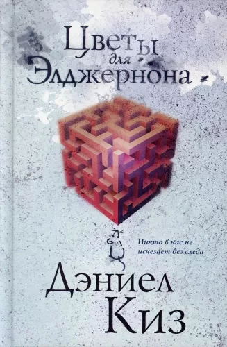 81Ub9DZpaFL._SL1500_