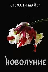 Без названия (19)