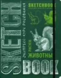 Без названия (5)