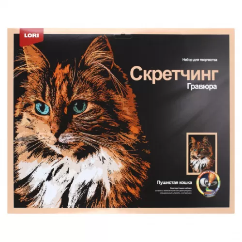 Т2223184x550y550